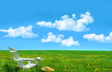 Poster - White wooden chair and straw hat in a field of dandelions