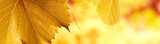 160_f_10058729_hoklkbqr6ggwg0mnjbulhvfypql40fex
