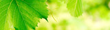160_f_10058742_hlob5fabc8fdcqsrsuo0jefzbd5gyl4f