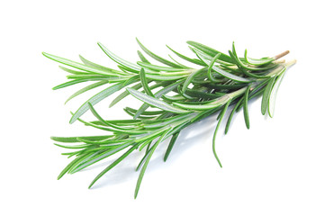 fresh rosemary isolated on white