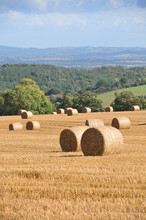 Round Bales Of Hay