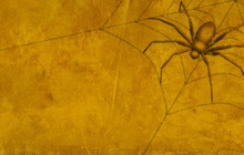 Grunge Background Of Brown Color, With Spider