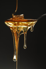 golden honey spilling on dark background stock photo