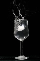 Wall Mural - alcohol splash on black  background