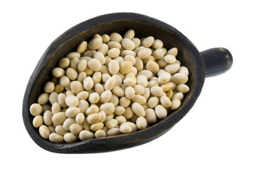 Canvas Print - white navy beans on a wooden scoop, isolated on white