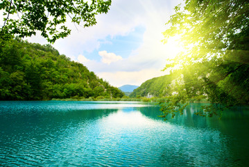 Canvas Print - lake in deep forest