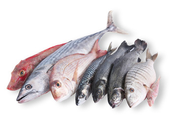 Wall Mural - pesce in pescheria