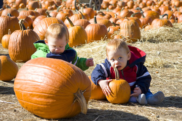 happy twin boys at a pumpkin patch having fun