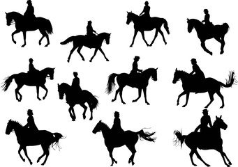 Wall Mural - dressage