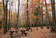 Picnic Table Colorful  Background