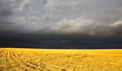 Wall Mural - The thunder-storm in a countryside in Montana begins