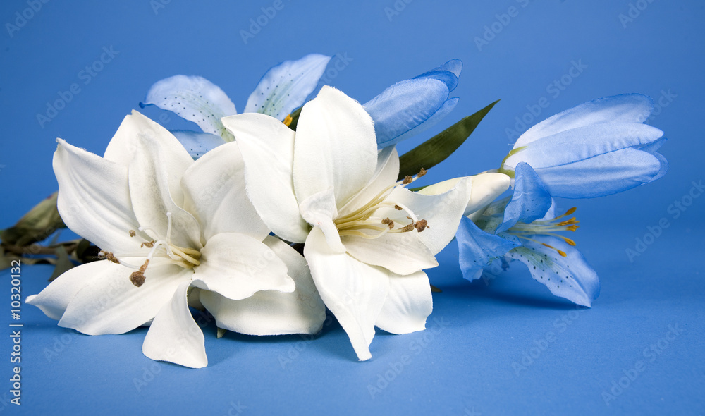 white artificial lilly flower on the blue background - obrazy, fototapety, plakaty 