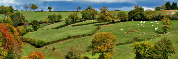 Wall Mural - panorama de campagne