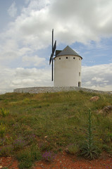 Canvas Print - Herencia Windmühle - Herencia windmill 11