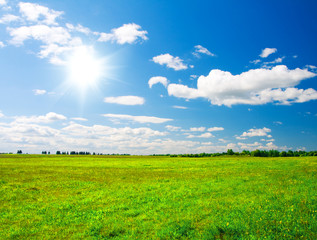 Wall Mural - Green hill under blue cloudy sky whit sun