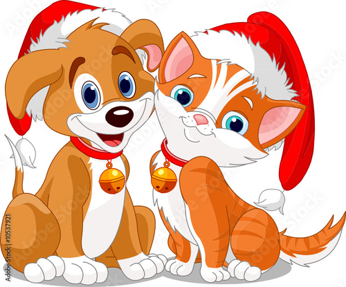 Jalousie-Rollo - Christmas dog and cat (von Anna Velichkovsky)