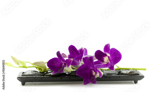 Fototapeta dla dzieci Piękna fioletowa orchidea na białym tle