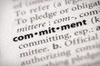 Dictionary Series - Attributes: commitment