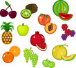 Various Fruits Part 2