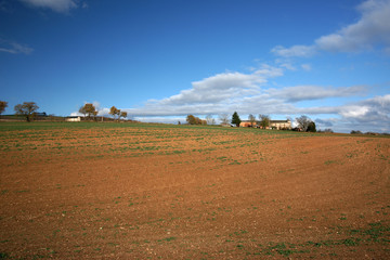 Wall Mural - agriculture