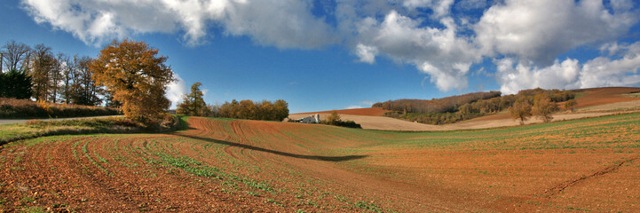 Wall Mural - panorama et champs