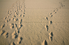 Human Footprints On Sand Surface
