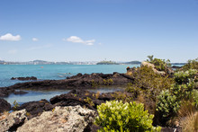 Auckland From Rangitoto Island