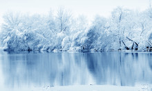 River And Trees In Winter