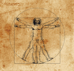 vitruvian man