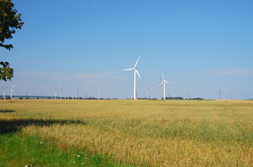 Wind power generators in the field against blue sky.