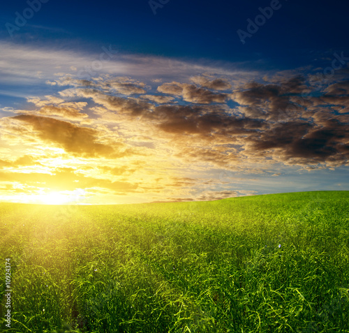 Foto-Leinwand ohne Rahmen - field of grass and sunset (von Iakov Kalinin)