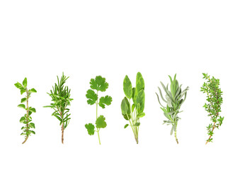 Sticker - Herb Leaf Selection