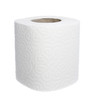 toilet paper 4