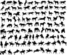 100 Vector Silhouettes Of Horses