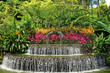 Botanischen Garten in Singapur