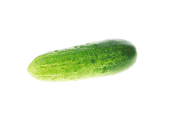 Fresh cucumber