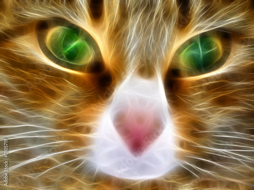 twarz-rudego-kota-z-zielonymi-oczami