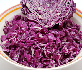 Sticker - rotkohl