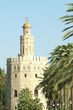Petite fortification arabe avec palmiers à Séville