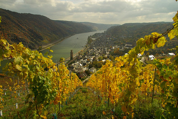 Canvas Print - Oberwesel 08