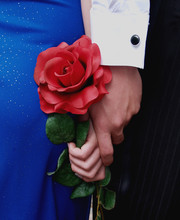 Couple Holding Hands And A Rose