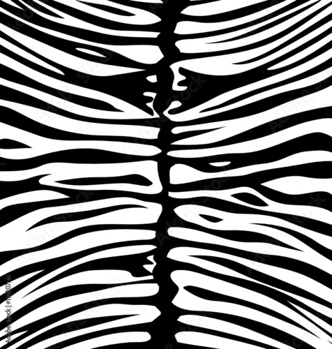 Plakat na zamówienie Zebra background