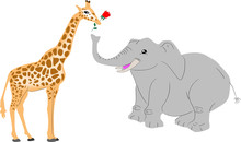 Giraffe And Elephant