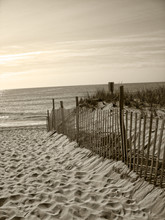 Beach Fence Dunes Ocean Sand