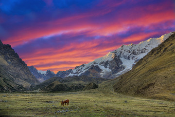 Poster - Evening in the Andes