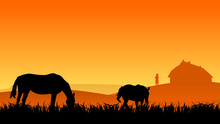Two Horses On Pasture At Sunset In Summer