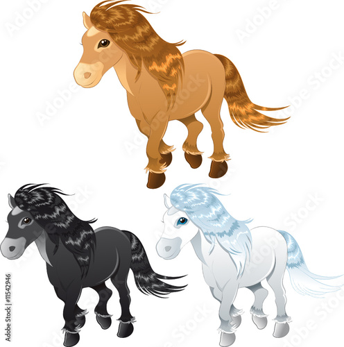 Foto-Duschvorhang - three horses or pony (von ddraw)