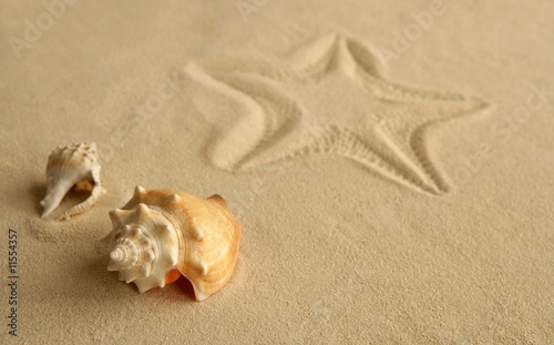 Foto-Schiebegardine mit Schienensystem - Starfish footprint over caribbean sand (von lunamarina)