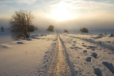 Fototapeta Miasto - Winter road