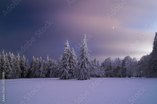 Foto-Leinwand ohne Rahmen - Winternacht (von Stefan Arendt)